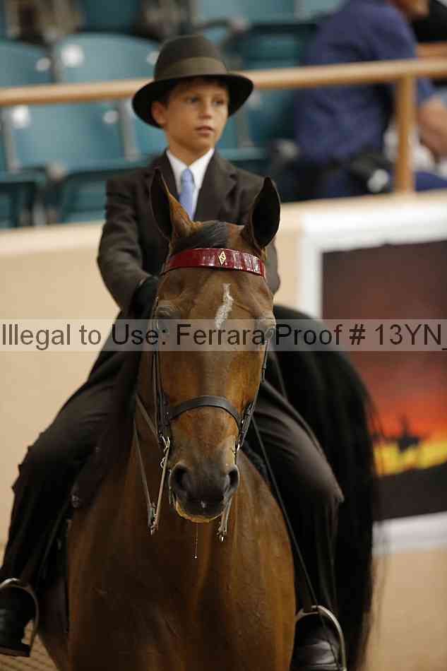 Proof 13yn_09671