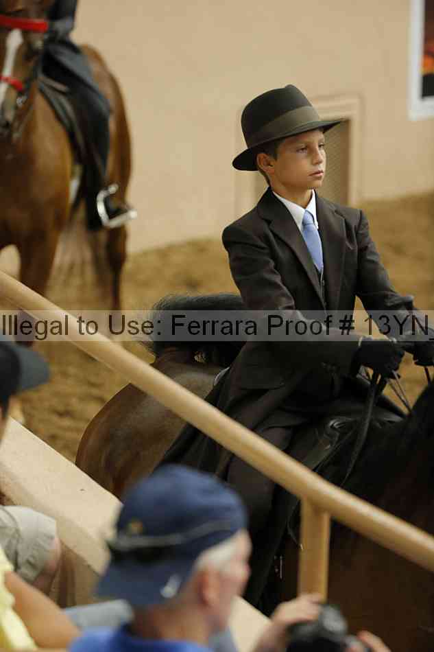 Proof 13yn_09672