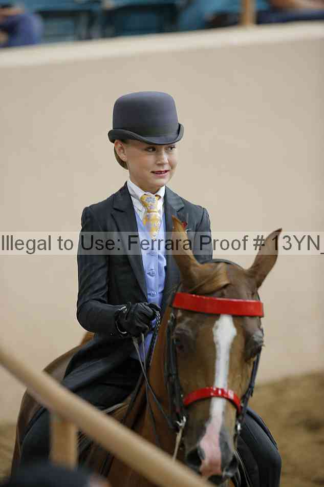 Proof 13yn_09673