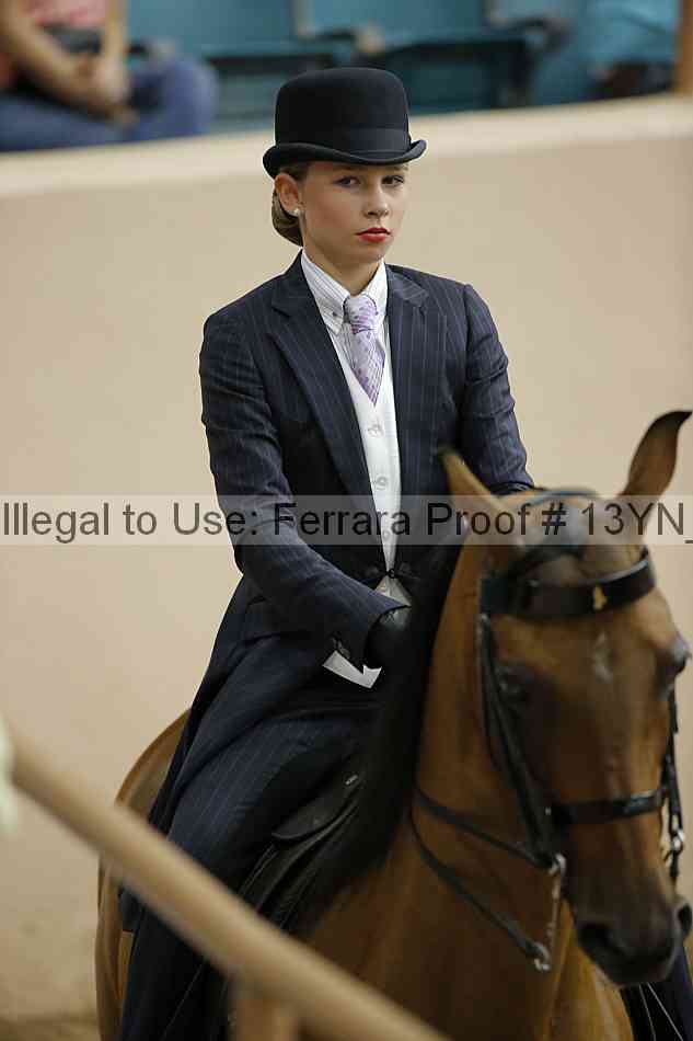 Proof 13yn_09674