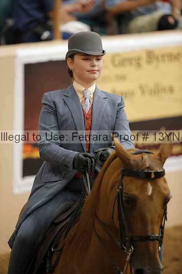 Proof 13yn_09675
