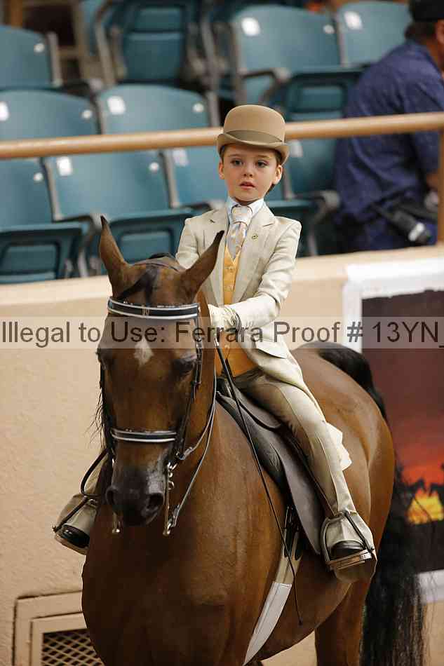 Proof 13yn_09677