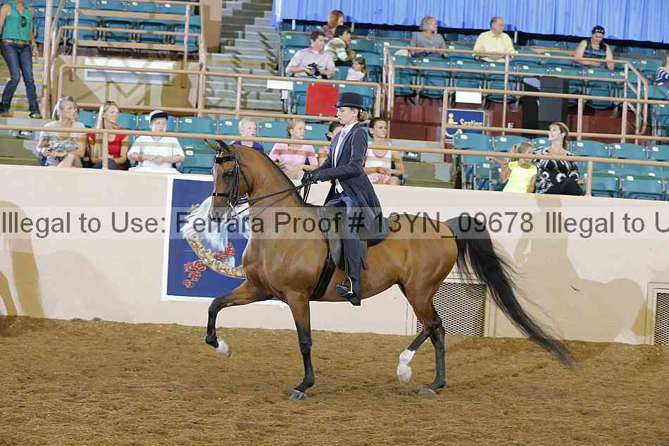 Proof 13yn_09678