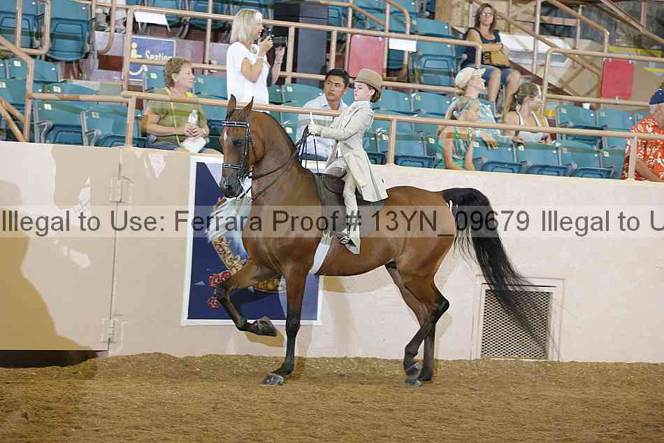 Proof 13yn_09679