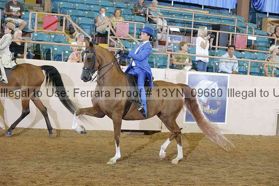 Proof 13yn_09680