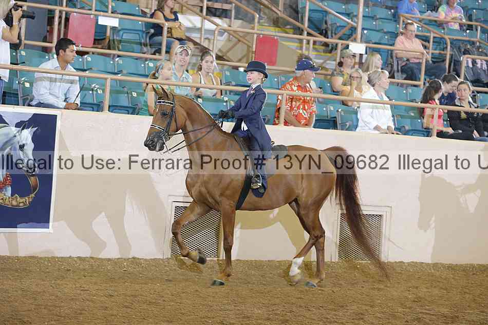 Proof 13yn_09682