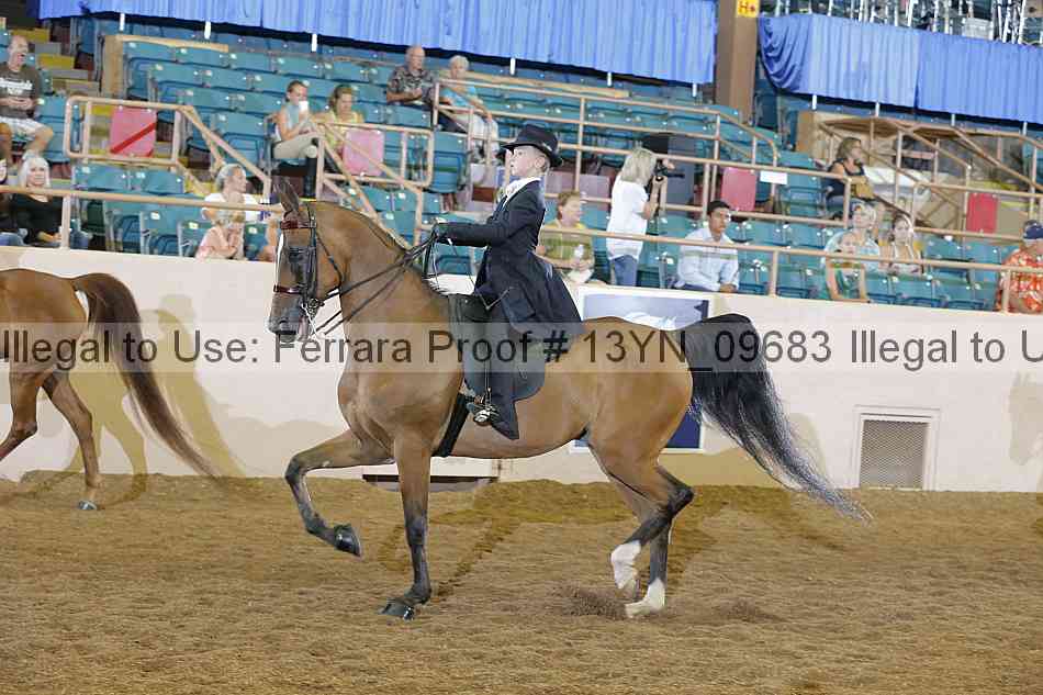 Proof 13yn_09683