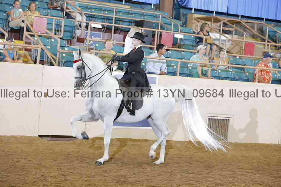 Proof 13yn_09684