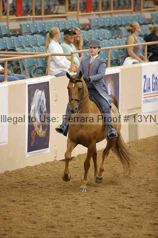 Proof 13yn_09686