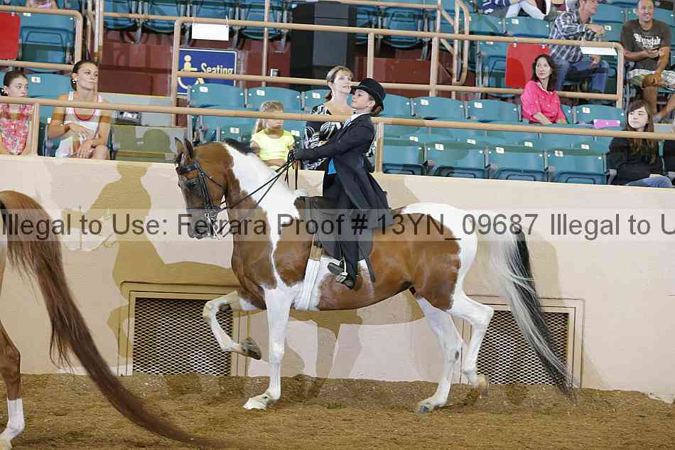 Proof 13yn_09687