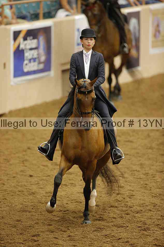 Proof 13yn_09690