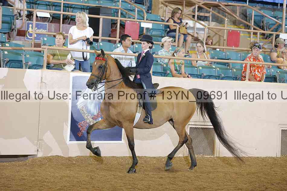 Proof 13yn_09691