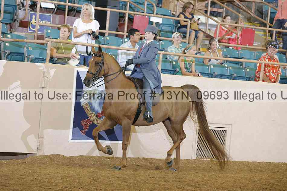 Proof 13yn_09693