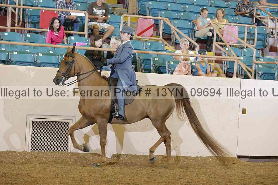 Proof 13yn_09694