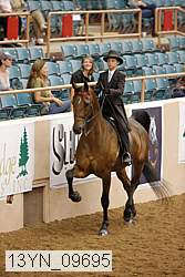 13yn_09695 proof