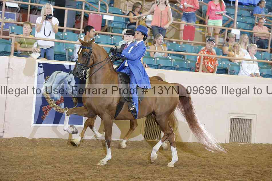 Proof 13yn_09696