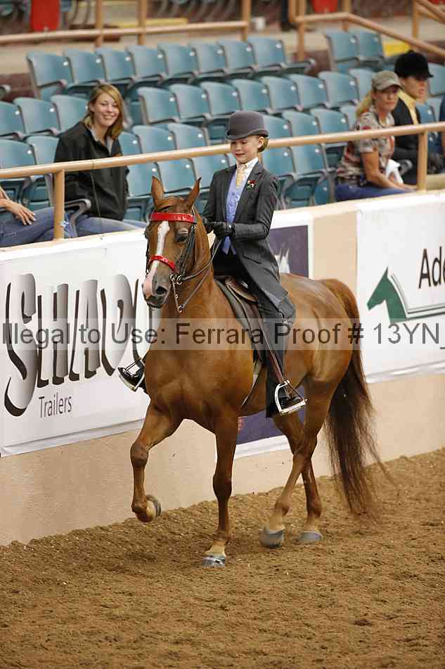 Proof 13yn_09697