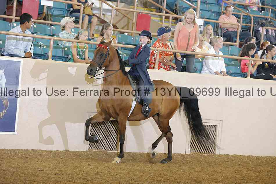 Proof 13yn_09699