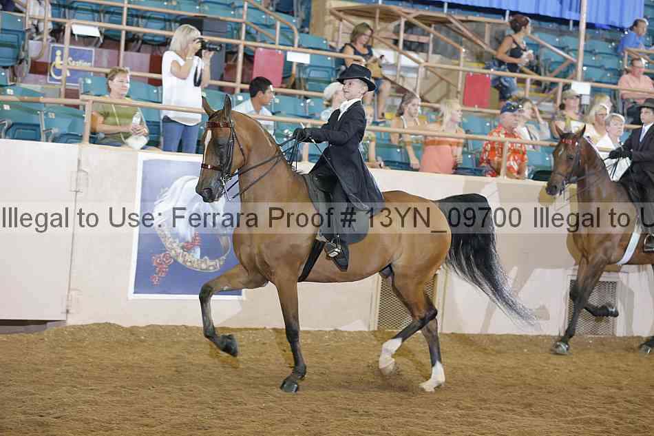 Proof 13yn_09700
