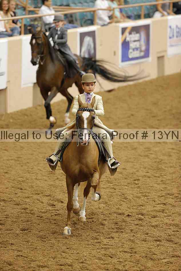 Proof 13yn_09701