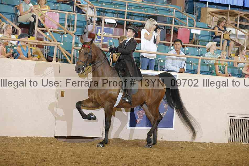 Proof 13yn_09702