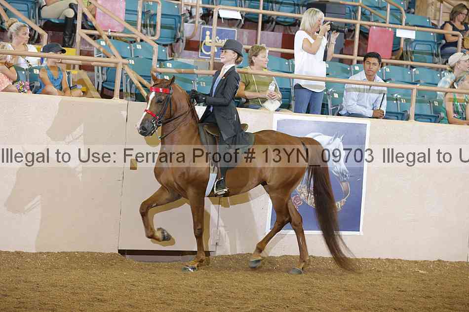 Proof 13yn_09703