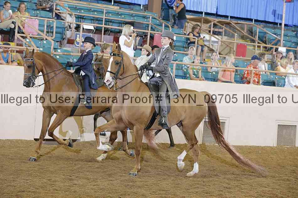 Proof 13yn_09705