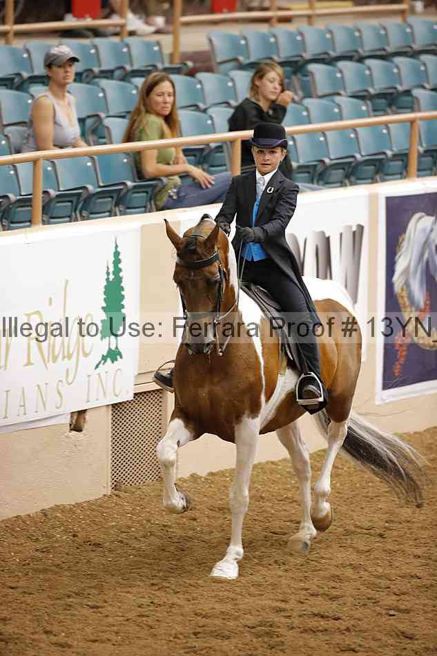 Proof 13yn_09706