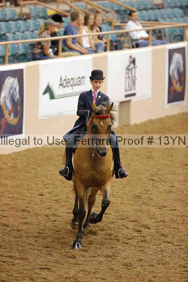 Proof 13yn_09707