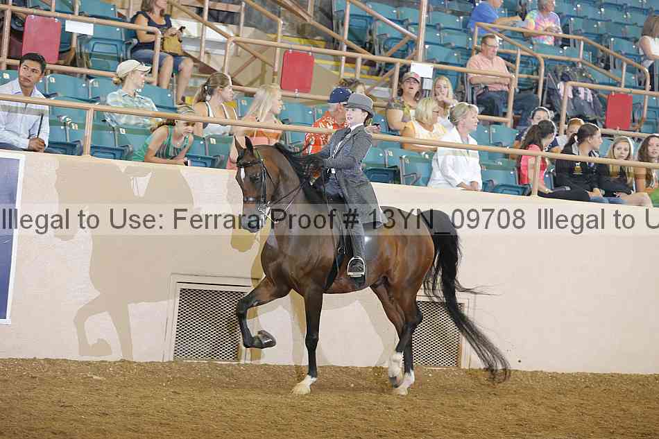 Proof 13yn_09708