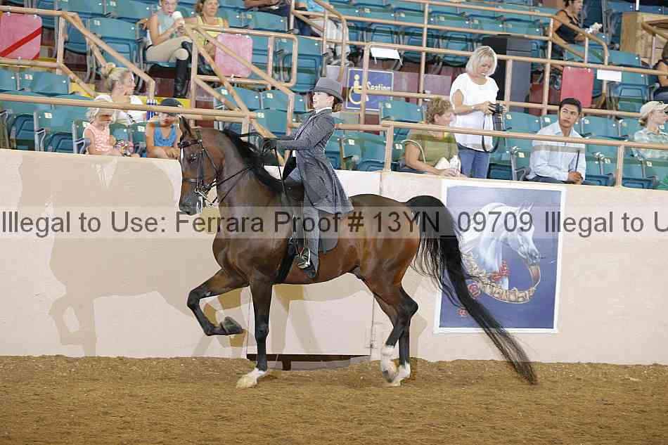 Proof 13yn_09709