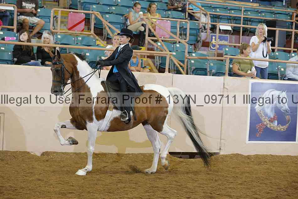Proof 13yn_09711