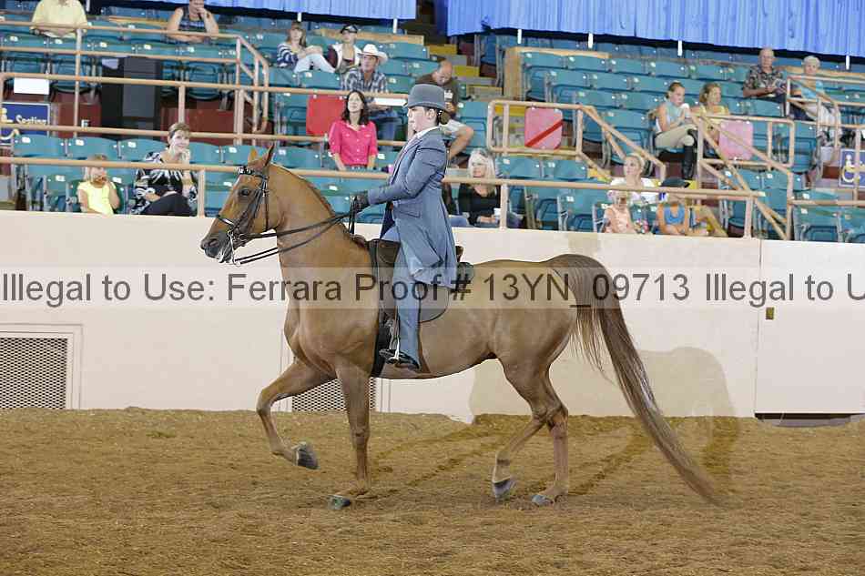 Proof 13yn_09713