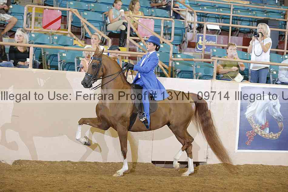 Proof 13yn_09714