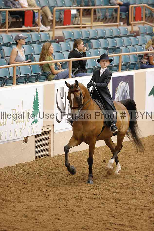 Proof 13yn_09715
