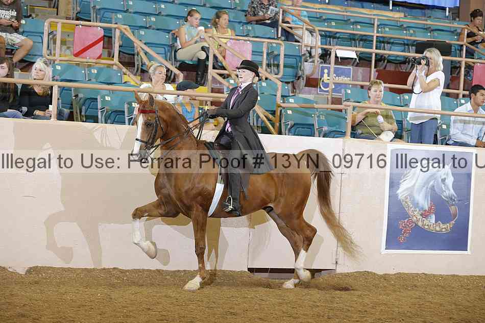 Proof 13yn_09716