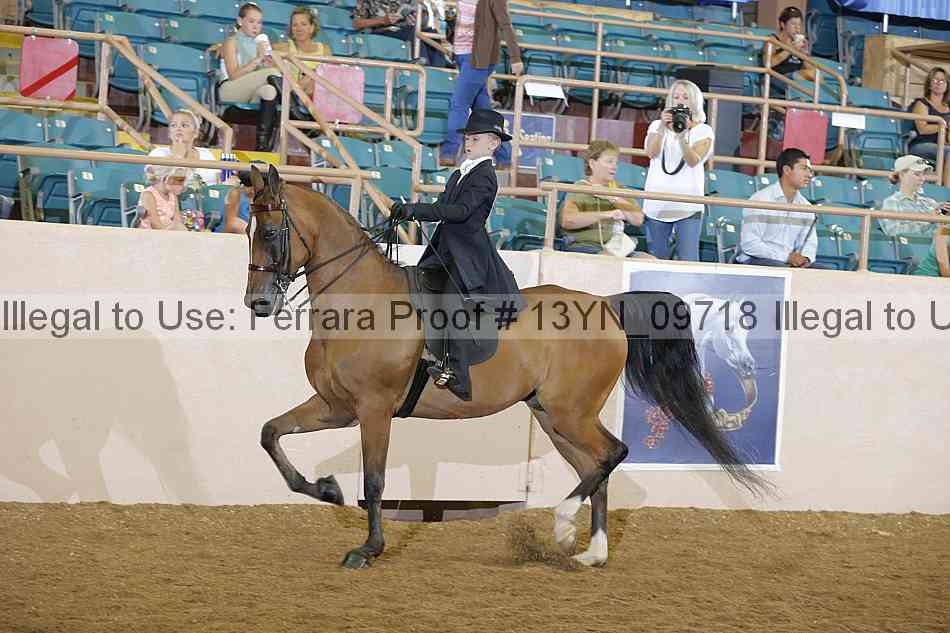 Proof 13yn_09718