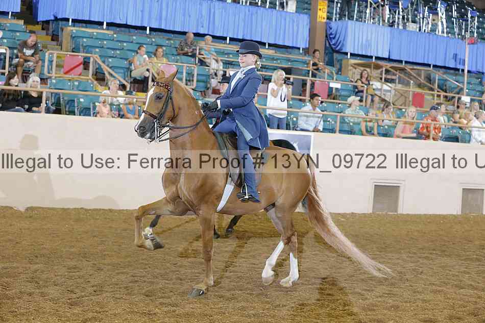 Proof 13yn_09722