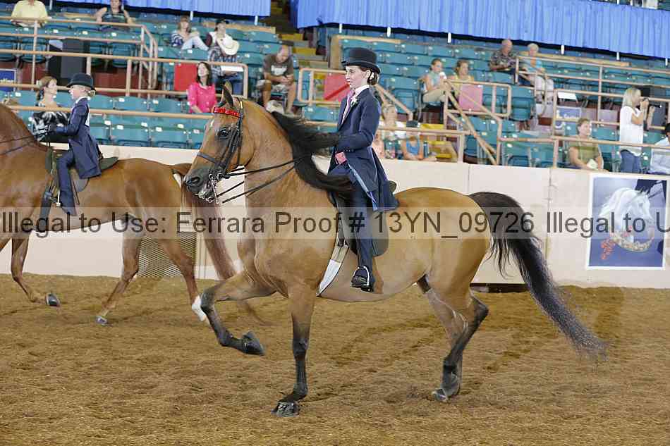 Proof 13yn_09726