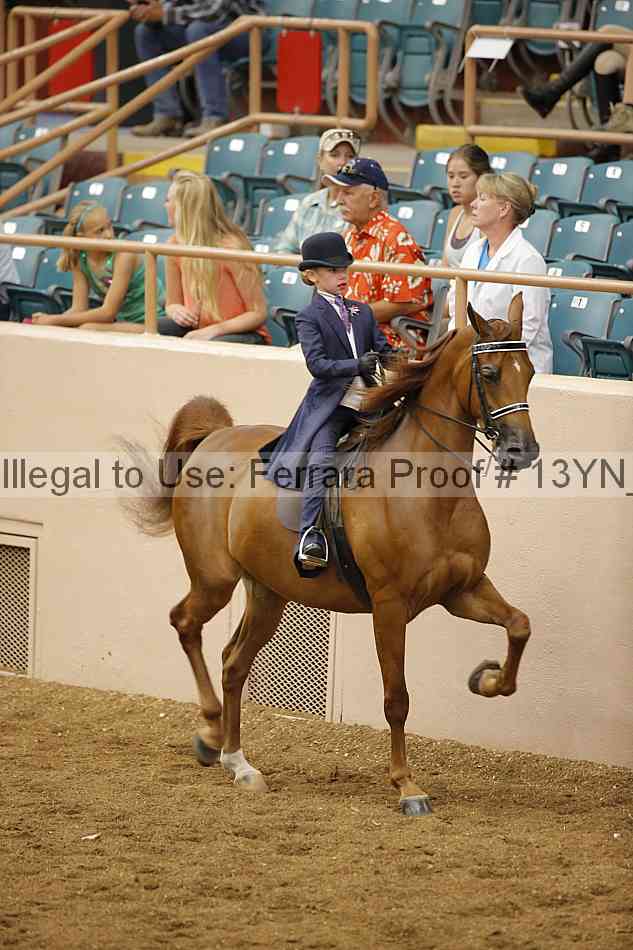 Proof 13yn_09732