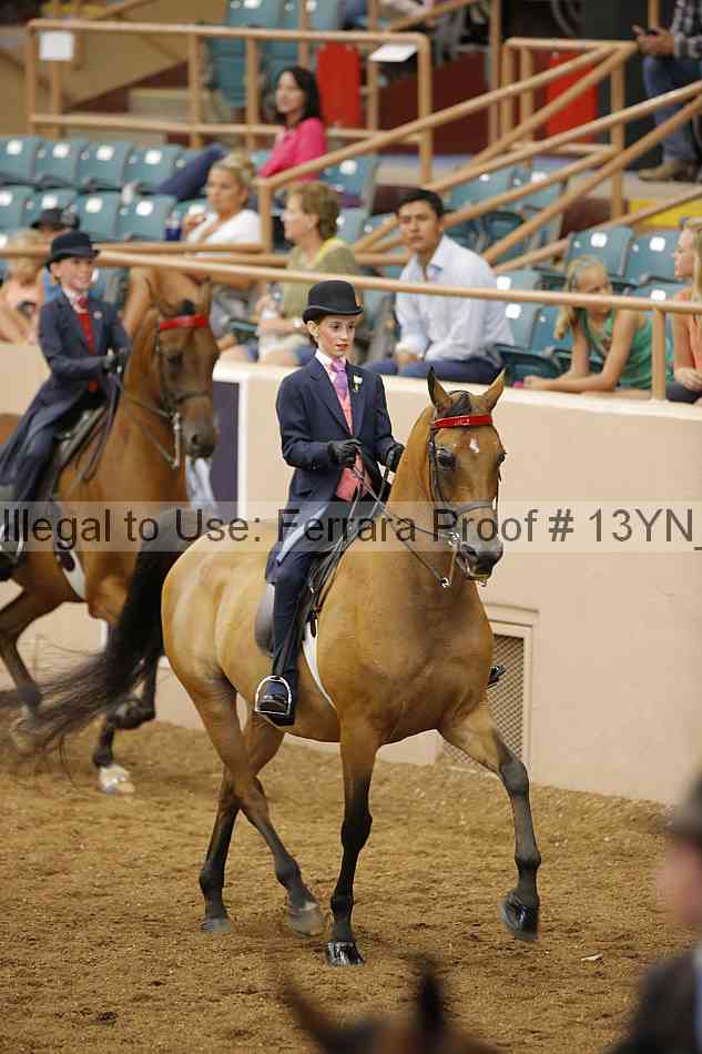 Proof 13yn_09733