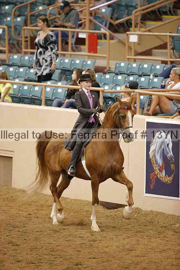 Proof 13yn_09735