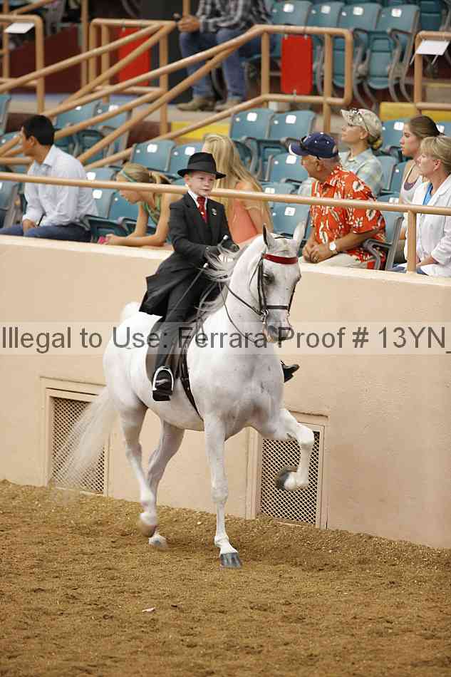 Proof 13yn_09736