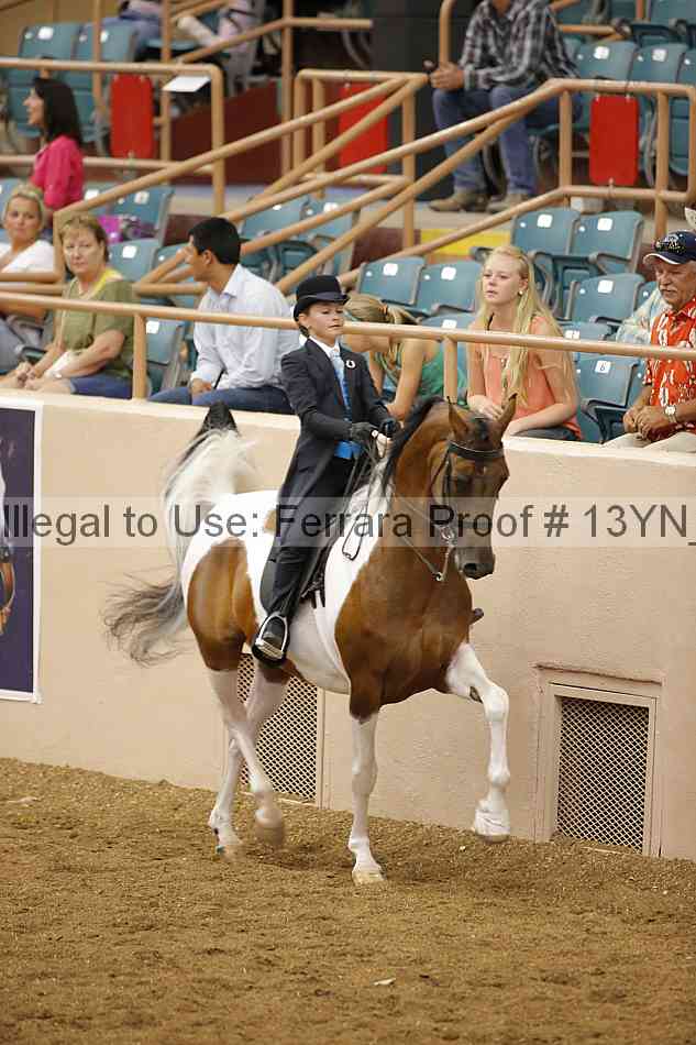 Proof 13yn_09737