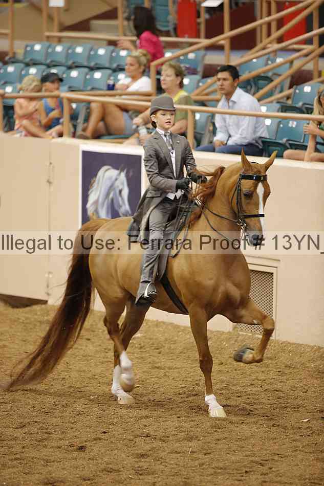 Proof 13yn_09739