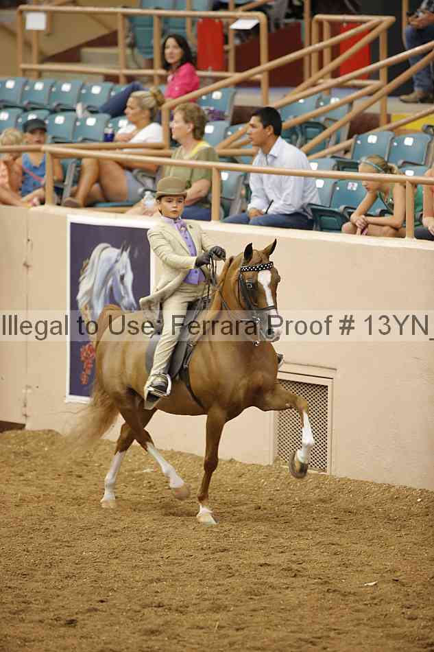 Proof 13yn_09743