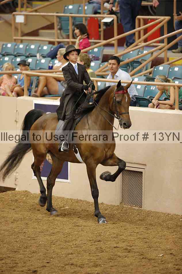 Proof 13yn_09744