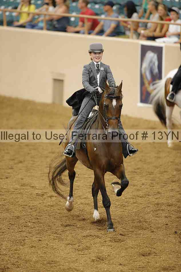 Proof 13yn_09745