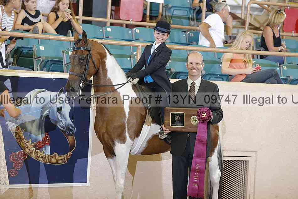 Proof 13yn_09747