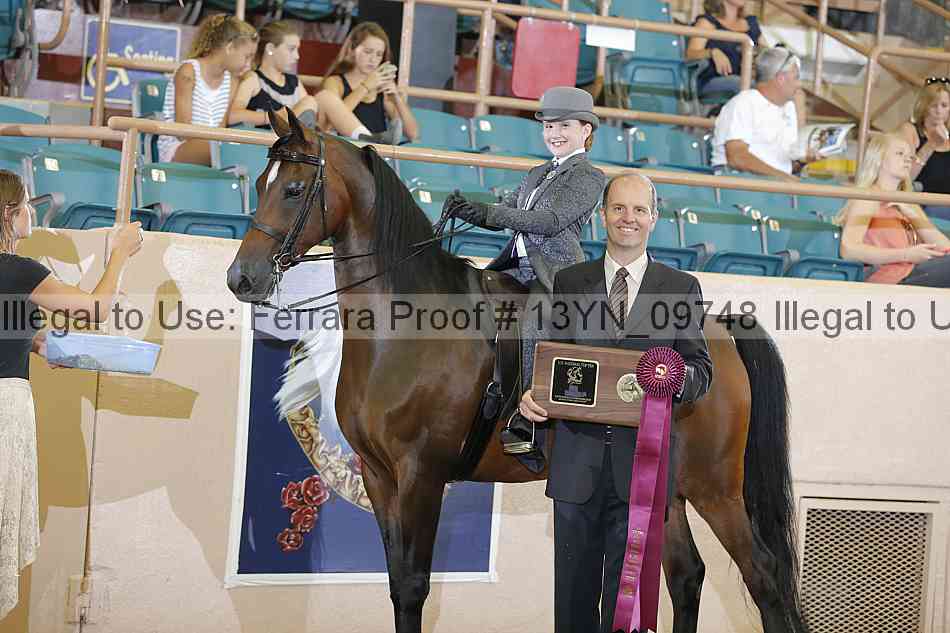 Proof 13yn_09748